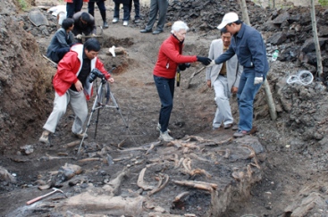 The recent discovery of a giant mastodon fossil site in northeastern Yunnan may provide science with a better understanding of the evolution of modern mammals, and possibly insight into the origin of humans.