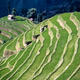 Stairways to the sky: The ancient terraces of Yunnan