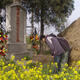 Observing Tomb Sweeping Festival in China