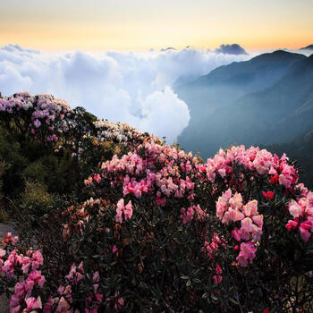 The fog rolls in as dusk arrives on Jiaozi Snow Mountain