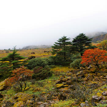 Jiaozi Snow Mountain in Yunnan province sees the arrival of autumn