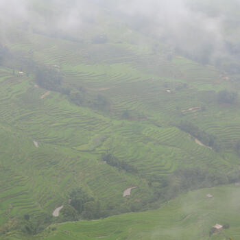 Fog obscures the Hani Rice Terraces near Bada (image credit: Chiara Ferraris)