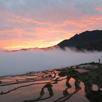 Dusk from atop the rice terraces in the village of Duoyishu (image credit: Chiara Ferraris)
