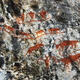 Protecting ancient cliff paintings in western Yunnan