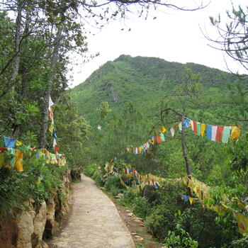 Trail to Wenbi Mountain peak near upper compound of Wenfeng Temple