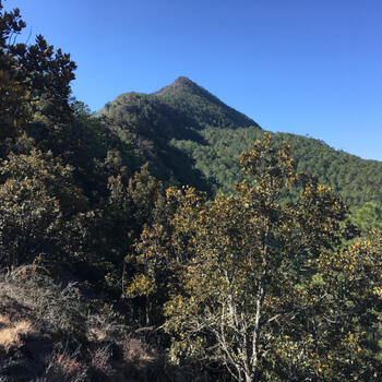 North summit of Saddle Mountain viewed from the north ridge