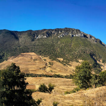 Northeast side of Wenhai Mountain. High point on the left side of summit ridge. Note Yi village beneath a low forested peak on the right.