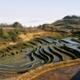 Getting away: Yuanyang's rice terraces