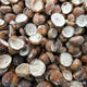 Yunnan mushroom exports to top $100 million