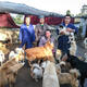 Around Town: Kunming Stray Dog Shelter