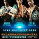 WBC/WBO Fights