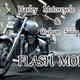 My Young Party: Flash Mob for Harley and Salsa 