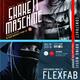 FlexFab/Shake it Maschine