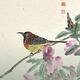 Flower & Bird Painting Exhibition