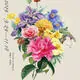 The Botanical Art of Zeng Xiaolian