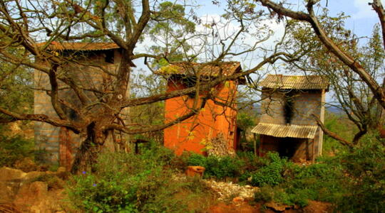 Tobacco roasting towers