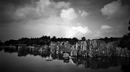 Stone Forest