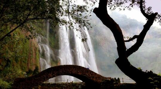 Bridge over trembling water