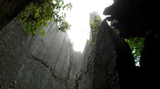 Stone Face