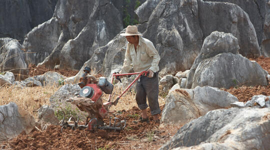 Farmer in Stone Forest