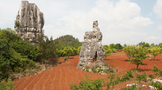 Farm land in Stone Forrest