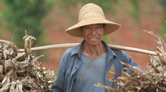 Farmer in Stone Forest