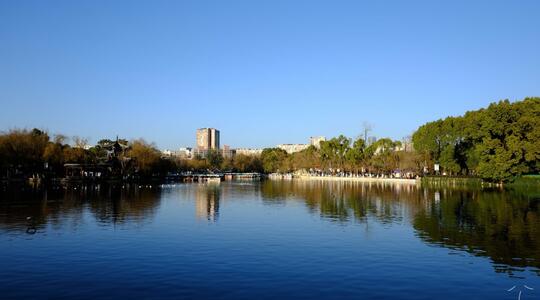 the Green Lake