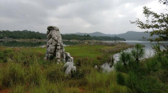 Long Lake Stone Forest