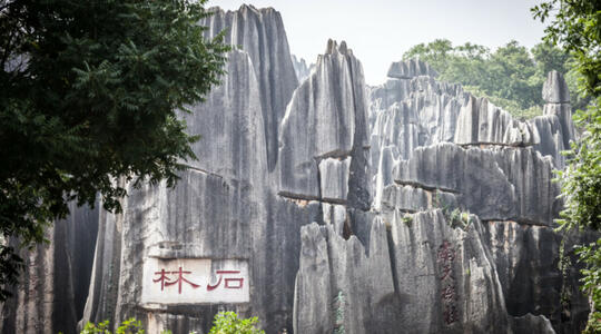 Stone Forest,