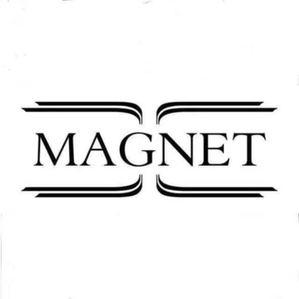 Magnet (Park 1903)