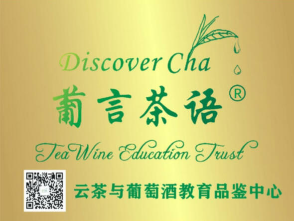 Discover 茶 Tea Studio