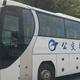 Airport Bus Line 919A (Haiyuan Temple stop)