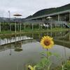 Peach Blossom Fishing House